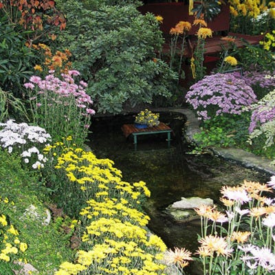 Lincoln Park Conservatory located in Chicago features flora and fauna.
