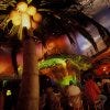 Jimmy Buffett's&Acirc;&reg; Margaritaville&Acirc;&reg; Orlando makes for some of the best nightlife in Orlando, FL