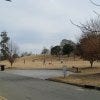 Piedmont Park