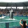 Florida-20090719-132024