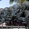Head in South Beach