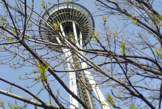 Through The Trees