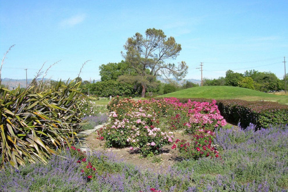 Best San Jose Attractions and Activities Top 10Best Attraction Reviews