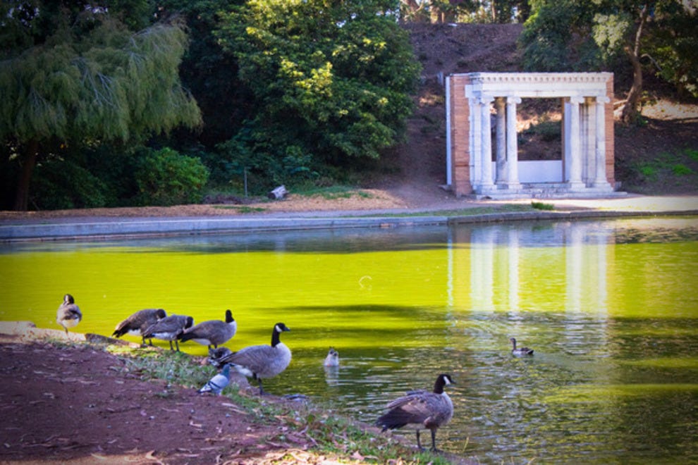 Golden Gate Park San Francisco Attractions Review 10Best Experts and