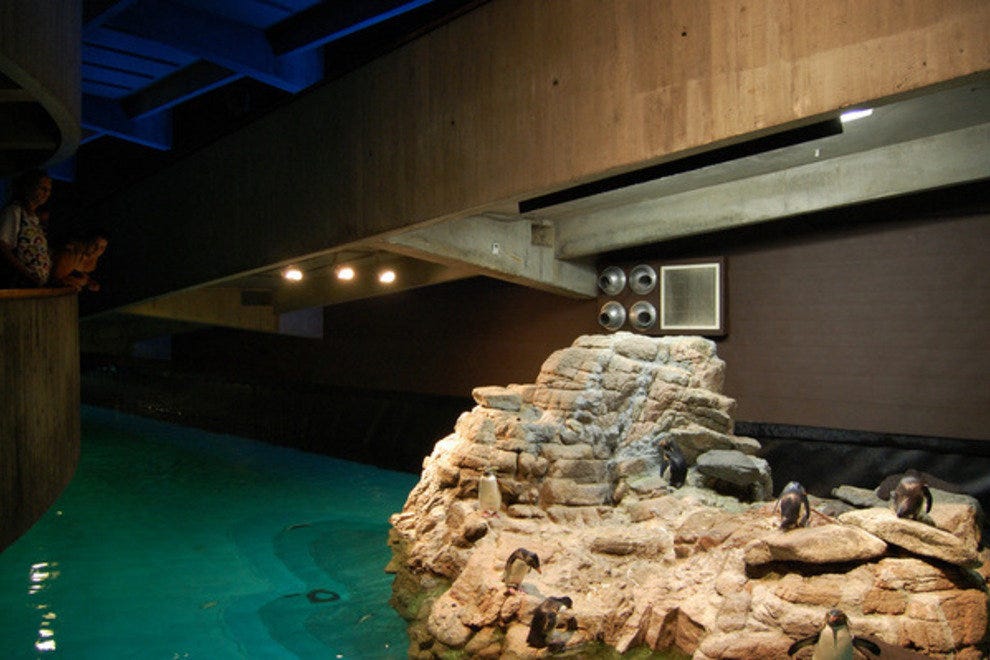 New England Aquarium Boston Attractions Review 10Best Experts and