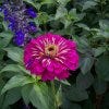 100_5084.JPG
