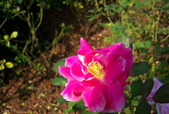 100_5150.JPG