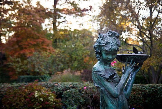 conservatory garden