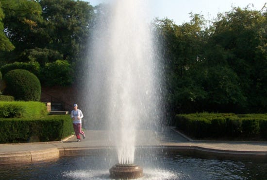 100_5114.JPG