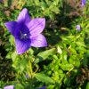 100_5106.JPG