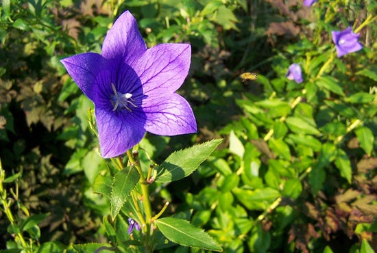 100_5106.JPG