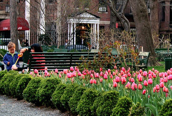spring aught 6