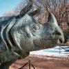 Bronze Rhino