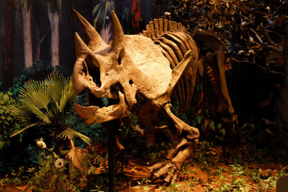 Directions To Carnegie Museum Of Natural History Directions To Carnegie Museum Of Natural History
