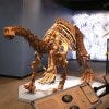 Miami Science Museum is one of the best things to do in Miami, FL