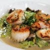 Scallops at Balthazar