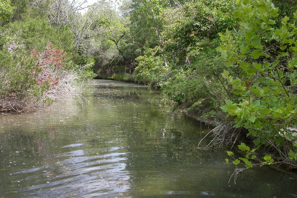 Pease District Park Austin Attractions Review 10Best Experts and