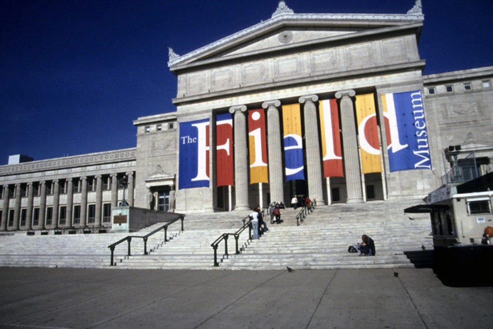 Museum Of Natural History Family Party Museum Of Natural History Family Party