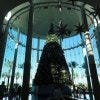 Mall at Millenia is one of the best shopping in Orlando, FL