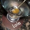 Lola is one of the best restaurants in Seattle, WA