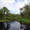 Palisades Country Club is one of the best things to do in Orlando, FL