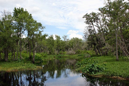 Palisades Country Club is one of the best things to do in Orlando, FL