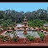 Viet Garden is one of the best restaurants in Orlando, FL