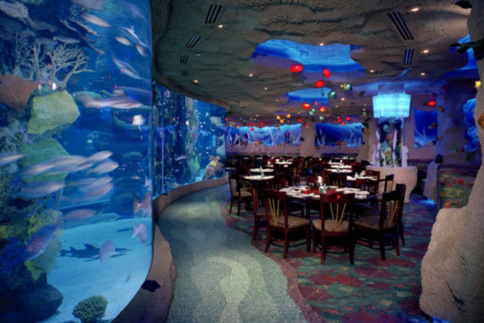 Downtown Aquarium Houston Attractions Review 10Best Experts and