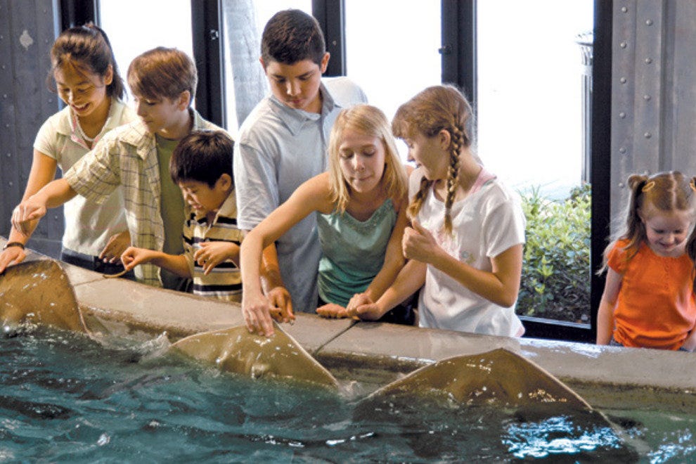 Downtown Aquarium Houston Attractions Review 10Best Experts and