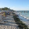 Playa Tortugas is one of the best things to do in Cancun, Mexico