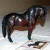 pony_fabio