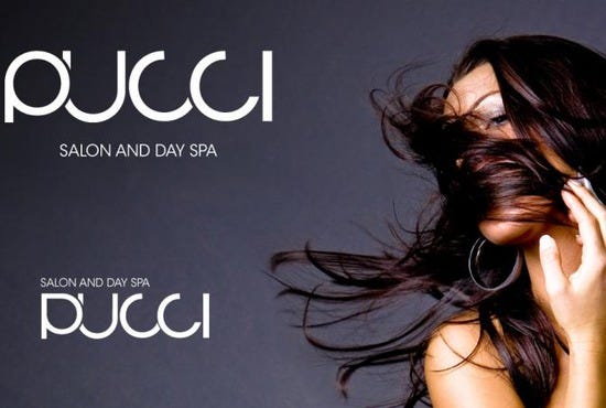 f3c19ddc82ebb44d965ac403a920c837salon_pucci_type_concept