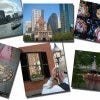 collage_resized