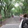 Park7