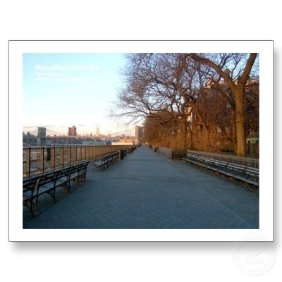 brooklyn_heights_esplanade_postcard-p239844803093210152qibm_400