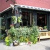 the-spotted-pig-nyc-food-eatery-1
