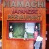 hamachi-ext