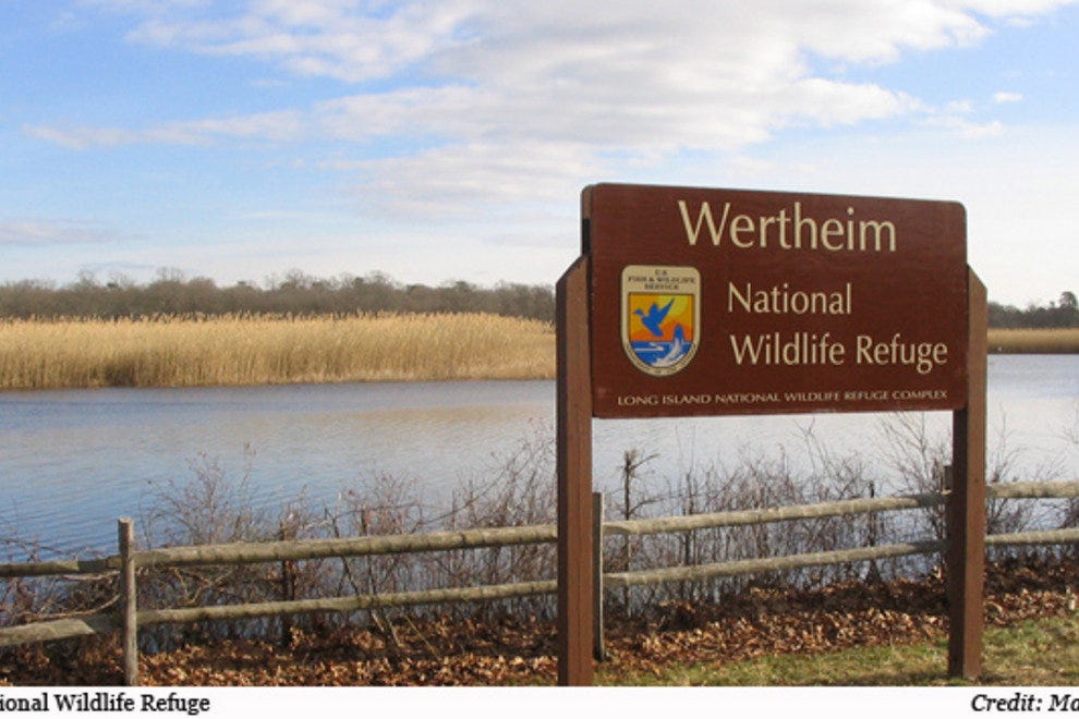 Oyster Bay National Wildlife Refuge Long Island Attractions Review