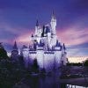 Magic Kingdom_Castle_medium.jpg