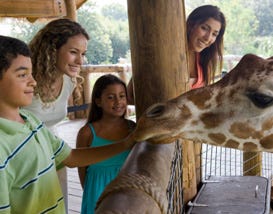 Best Zoos