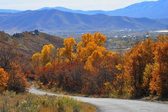 A fleet of bike shops as diverse as Salt Lake's biking opportunities