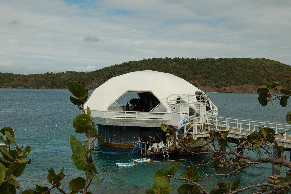 Coral World Ocean Park U.S. Virgin Islands Attractions Review 10Best