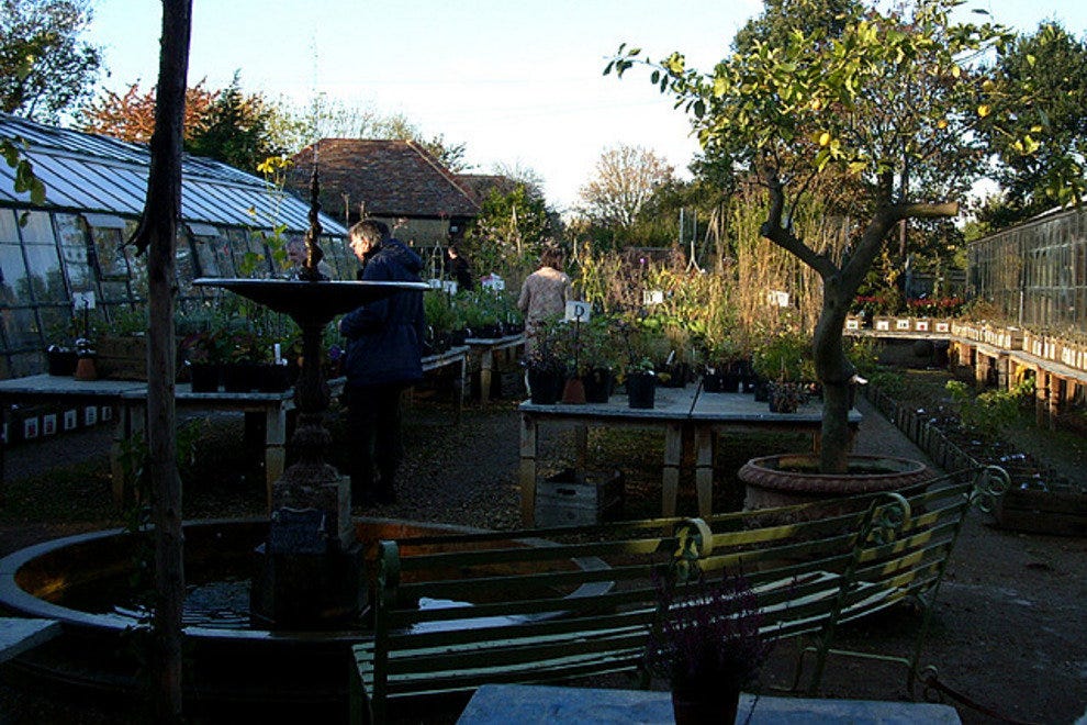 Petersham Nurseries London Restaurants Review 10Best Experts and