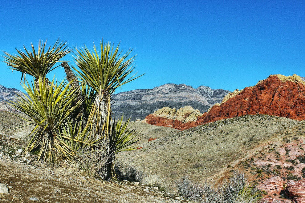 10Best Day Trip Explore Red Rock Canyon and Beyond