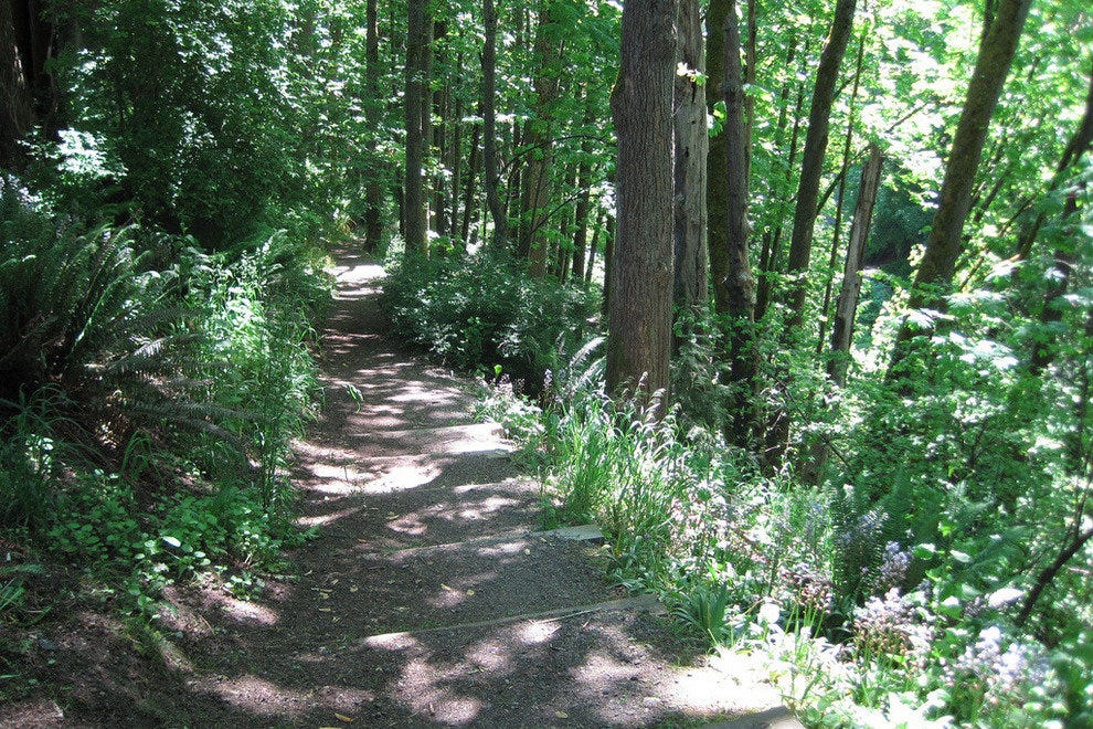 Ravenna Park Seattle Attractions Review 10Best Experts and Tourist