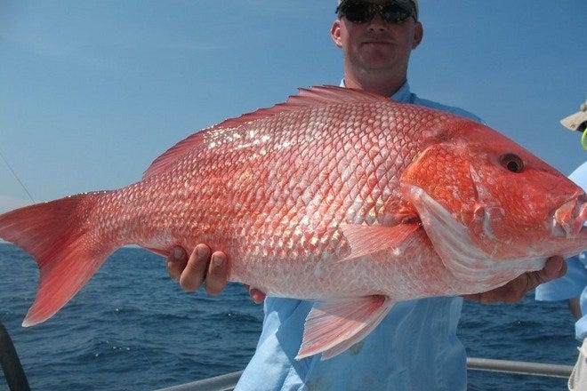 Amick's Deep Sea Fishing is one of the very best things to do in Savannah