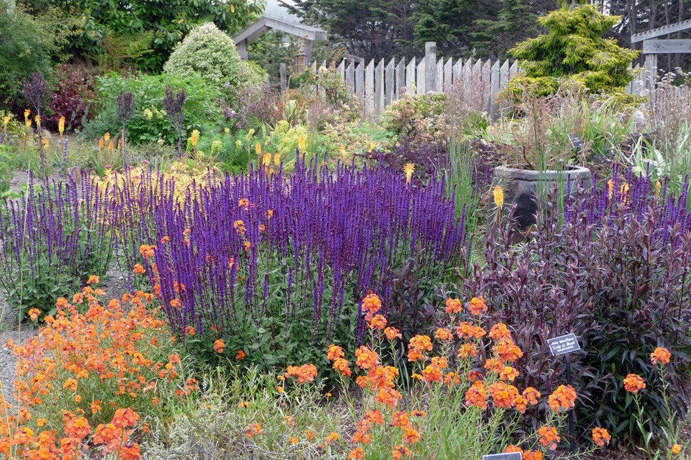 10 Best Public Gardens in the US