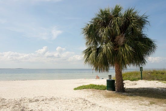 Cypress Point Park: Tampa Attractions Review - 10Best Experts and ...