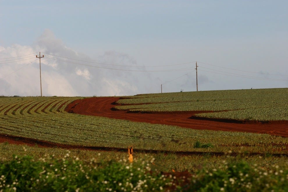 Things to do in Wahiawa Honolulu, HI Travel Guide by 10Best