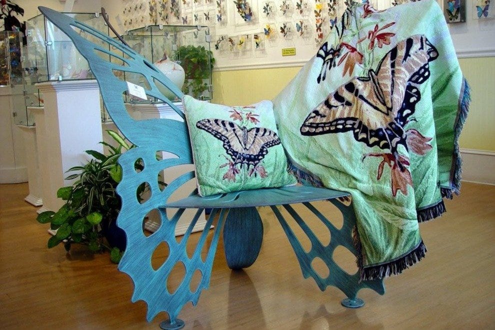 Key West Butterfly & Nature Conservatory Key West Attractions Review